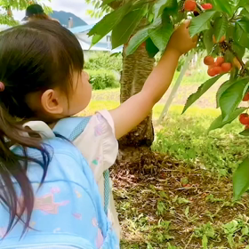 指導者として合宿に参加の画像