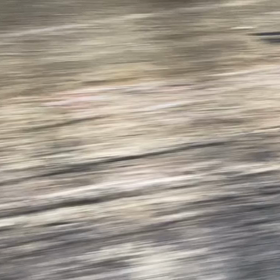 2023年3月13日（月）のおわらサーキットの画像