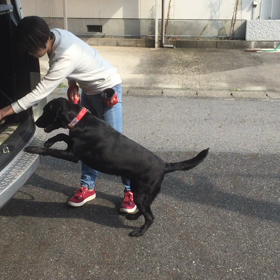 は〜ちゃん、出来るようになった事の画像