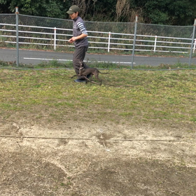 成長ナウの画像