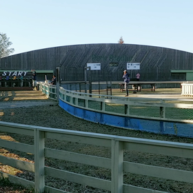 息子初めての牧場体験♪の画像