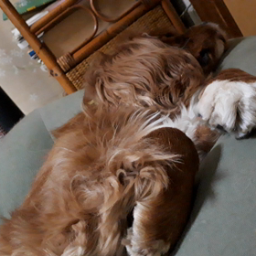 イビキと寝言の画像