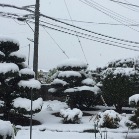 師走ではない。の画像