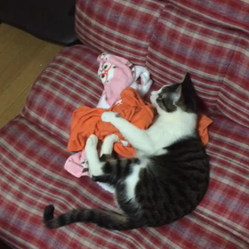 汗臭いから？の画像