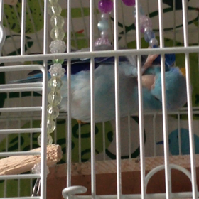 まめヨガ？？の画像