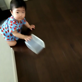 ぶーぶーの画像