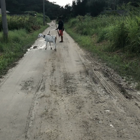 ラブちゃんの画像