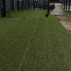 カインズドッグランの画像