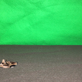 プラモデル完成の画像