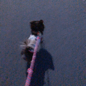 ❤︎セッション❤︎音量注意の画像