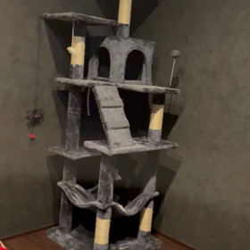 ムティアン投薬38日目の画像