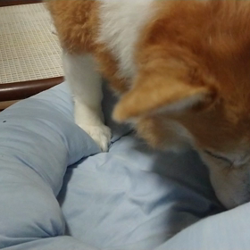 埋めれません！！の画像