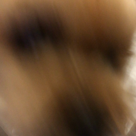 ぐちゃぐちゃの画像