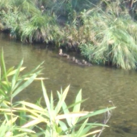 親子✨(酔うかもです、ごめんね)の画像