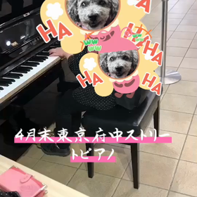 ストリートピアノの画像