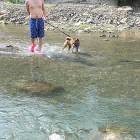 はじめての川遊び   動画編の画像