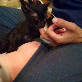 指しゃぶりの画像