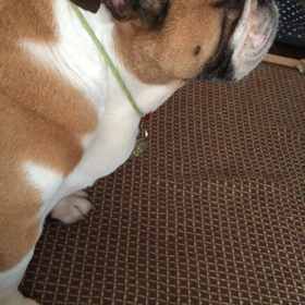 股関節マッサージの画像