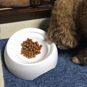 お食事でーすの画像