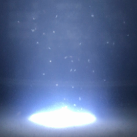 日記、2017/11/13-02。タマミジンコさん。の画像