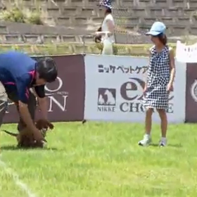 ホークのフリスビー大会デビュー・・・実はの画像