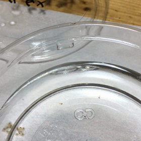 まだまだの画像