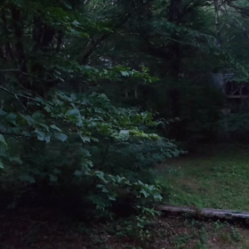 大膳原　ソロキャンプの画像