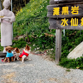 灘水仙郷.灘のお登勢さんと特産品販売所の画像