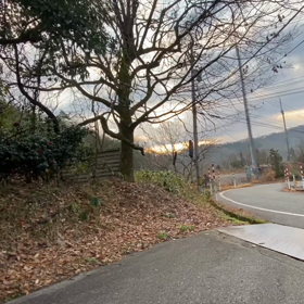 2023年1月8日（日）のおわらサーキットの画像