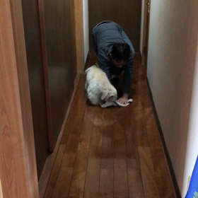 お手伝いの画像