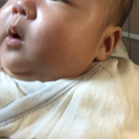 ウチの孫の画像