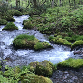 動画に癒されるの画像