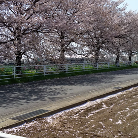 初の動画投稿が　　これっス♪の画像