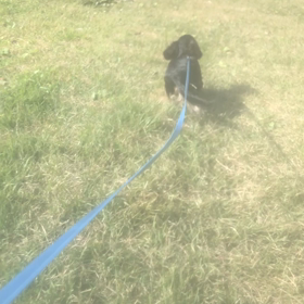 水曜日は暴れん坊将軍の日！笑の画像