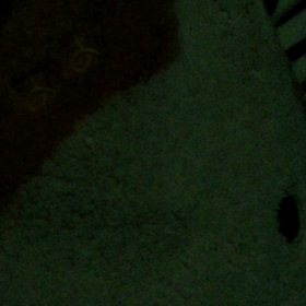 パパ記念日(⌯˃̶᷄ ⁻̫ ˂̶᷄⌯)♡の画像