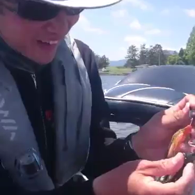 モザイクチャター、進化の途中@動画の画像