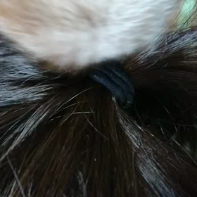 これって、共通？の画像