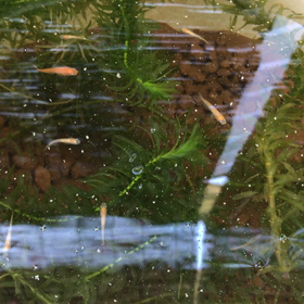 引っ越し 99%完了の画像