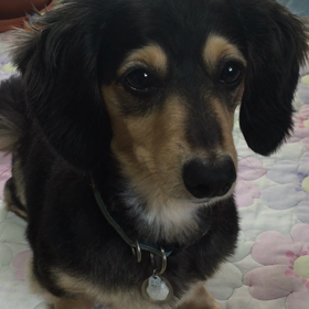 おはようございます♪の画像