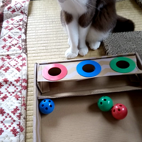 きょうは、本棚を片付けましょーの画像