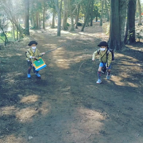 今朝の様子ですの画像