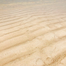 百合が浜part 3の画像