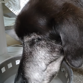 四時半に起きましたの画像