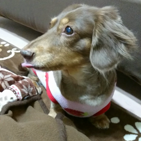 くちゃくちゃが止まらない☆の画像