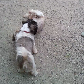 ティナママの脅威の画像