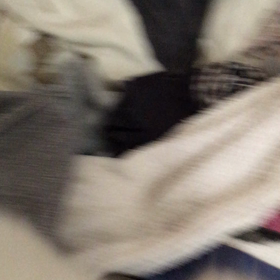やりたい放題の画像
