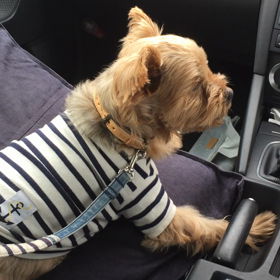 この記事の画像