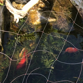おいおい、君達かい❗️の画像