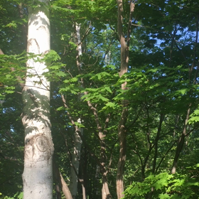 気分転換にの画像