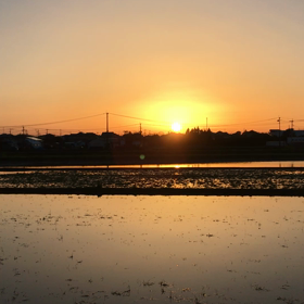 早起きは？の画像